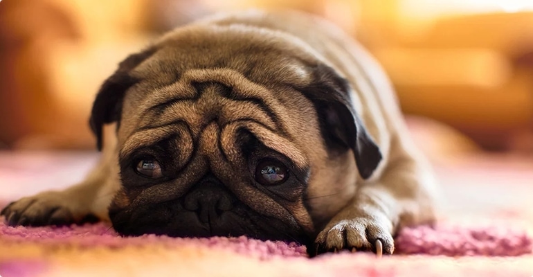 Барьер ожидания и его преодоление